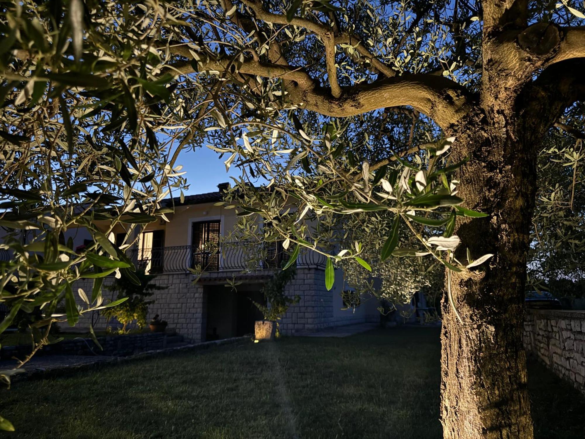 Apartman Ostrea *** Bale Exteriér fotografie