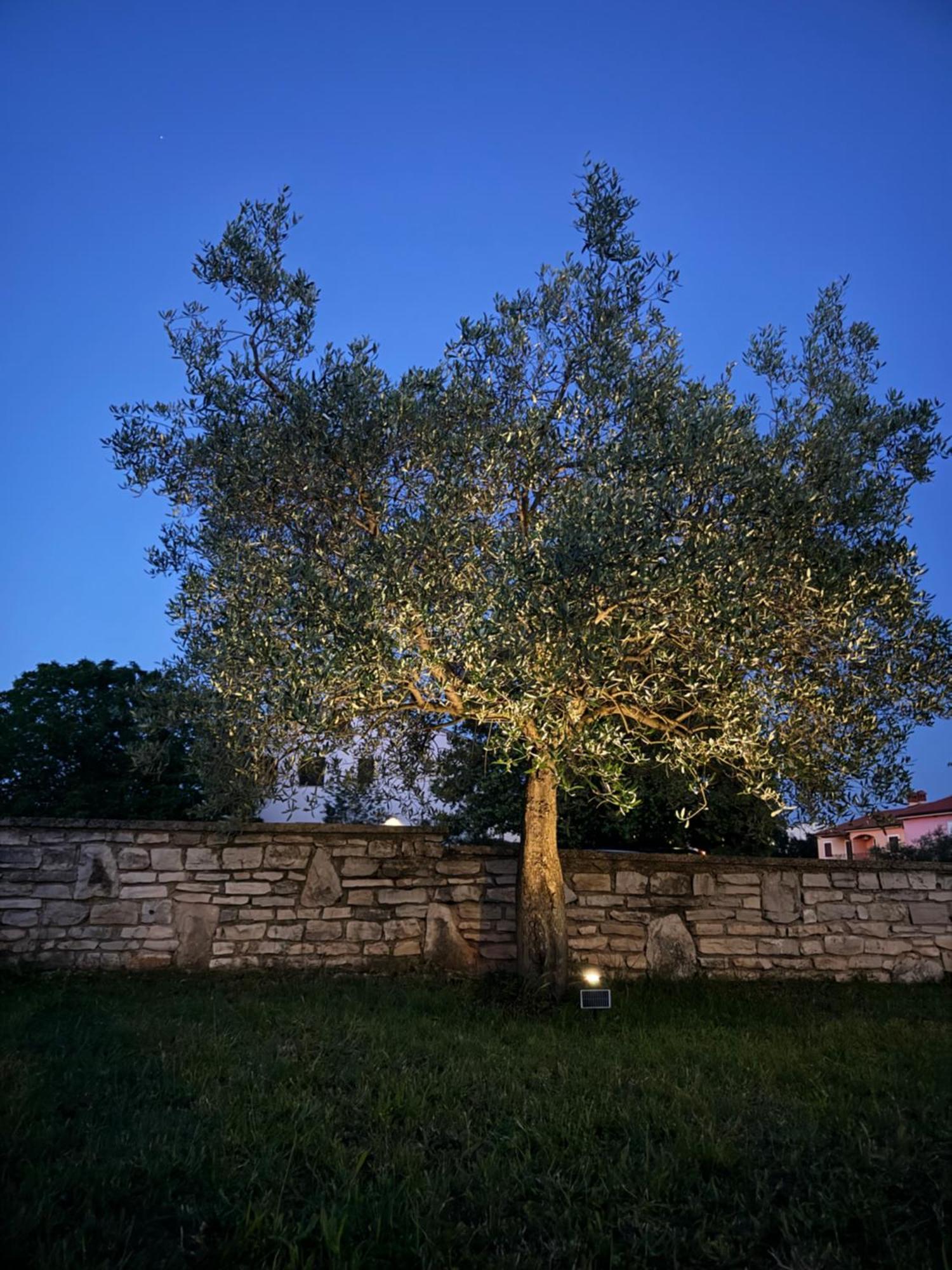 Apartman Ostrea *** Bale Exteriér fotografie
